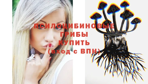 МДМА Богородицк