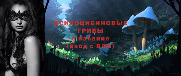 МДМА Богородицк